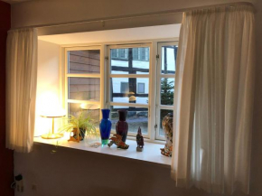 Stemningsfuld lejlighed - 3 minutters gang fra H.C. Andersens Hus in Odense C